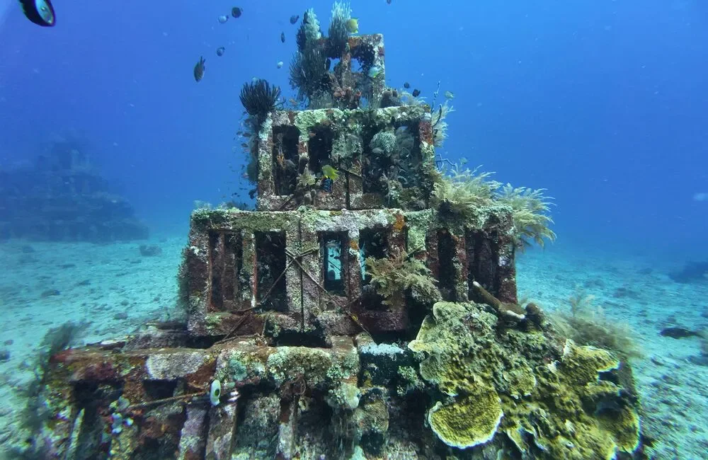 Dive Center Bali Reef Divers - Asia-Pacific - photo 3