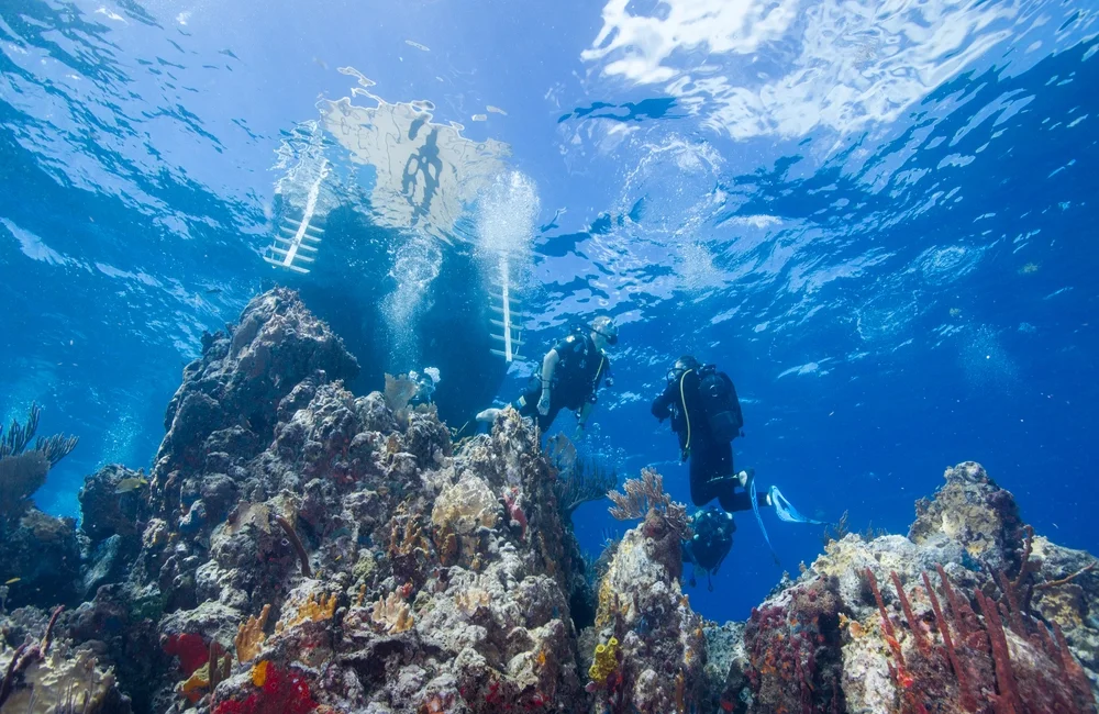 Dive Center Les Heures Saines - Caribbean - photo 3