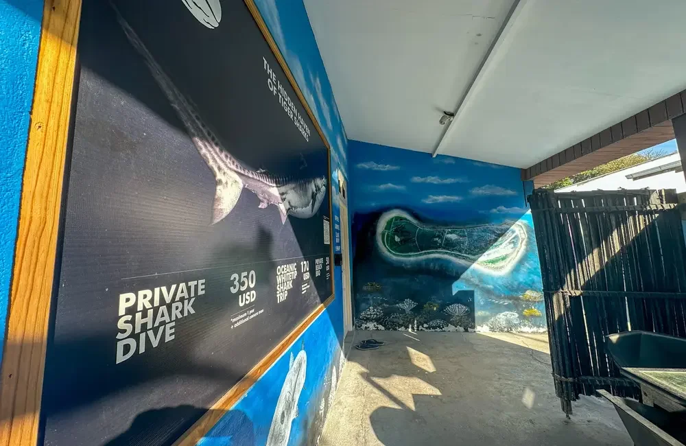 Dive Center Fuvahmulah Scuba Club - Southern Atolls - photo 3