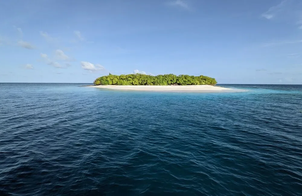 Dive Center Maldivers Dhiffushi - Northern Atolls – Thoddoo - photo 3