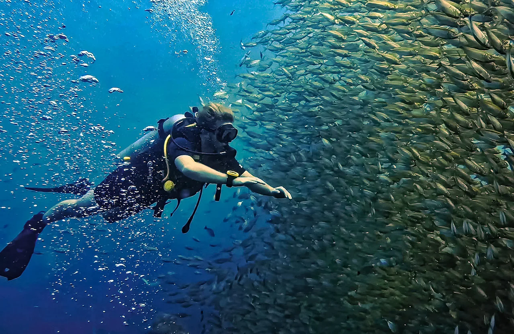 Dive Center Ocean Sound Dive and Yoga - Gulf of Thailand - photo 4