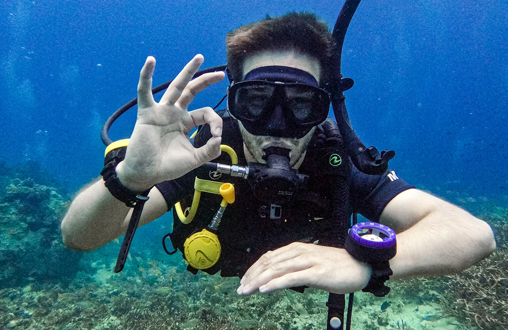 Dive Center Ocean Sound Dive and Yoga - Gulf of Thailand - photo 3