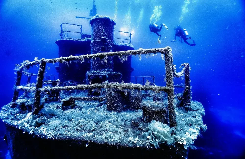 Dive Center The Divers’ Club - Mediterranean - photo 2