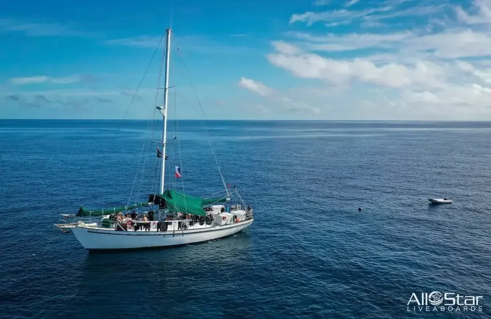 Liveaboard All Star Blackbeard’s - Bahamas - photo 2