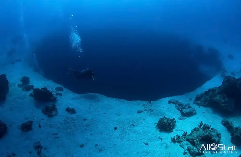 Liveaboard All Star Blackbeard’s - Bahamas - photo 5