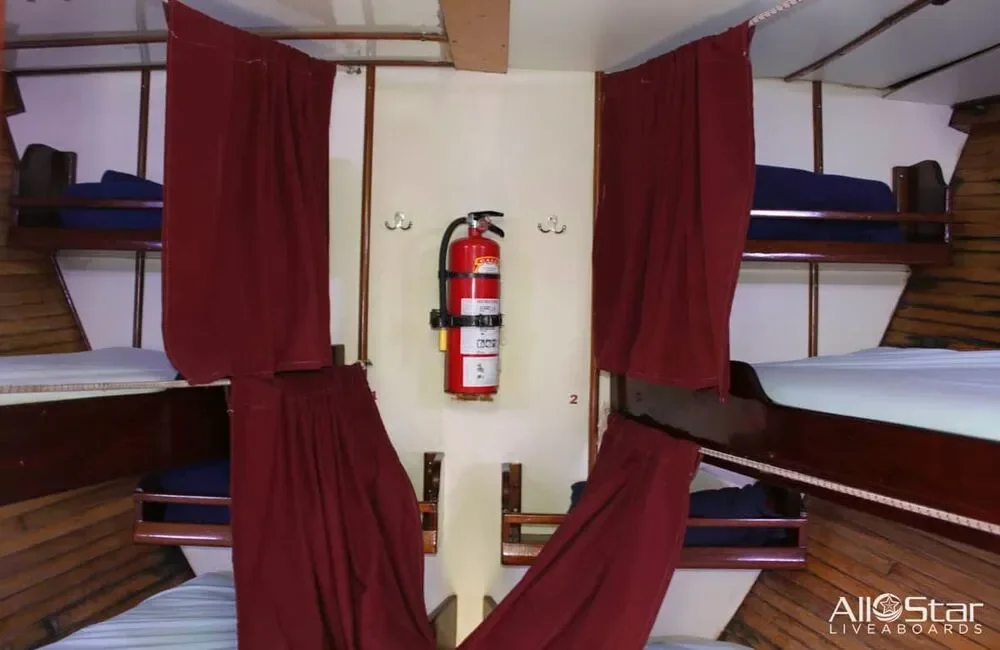 Liveaboard All Star Blackbeard’s - Bahamas - photo 3