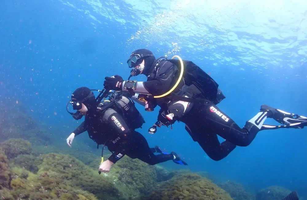 Dive Center Hippocampe Calvi - Corse - photo 5